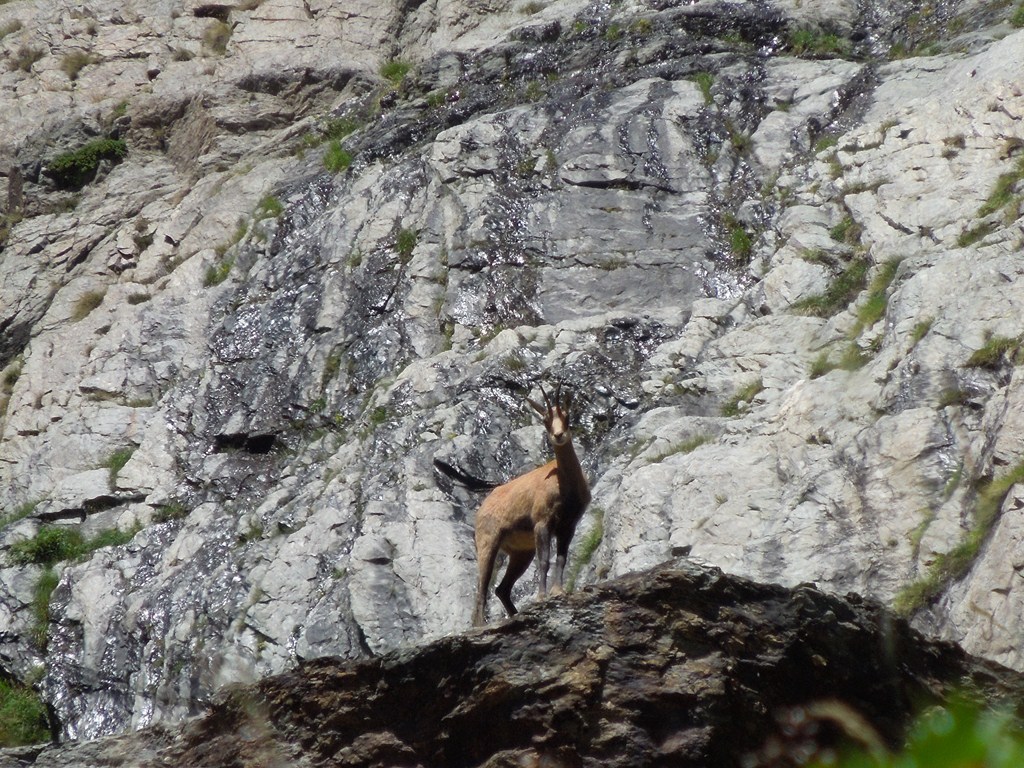 Photo Alpes Oisans Louer gite